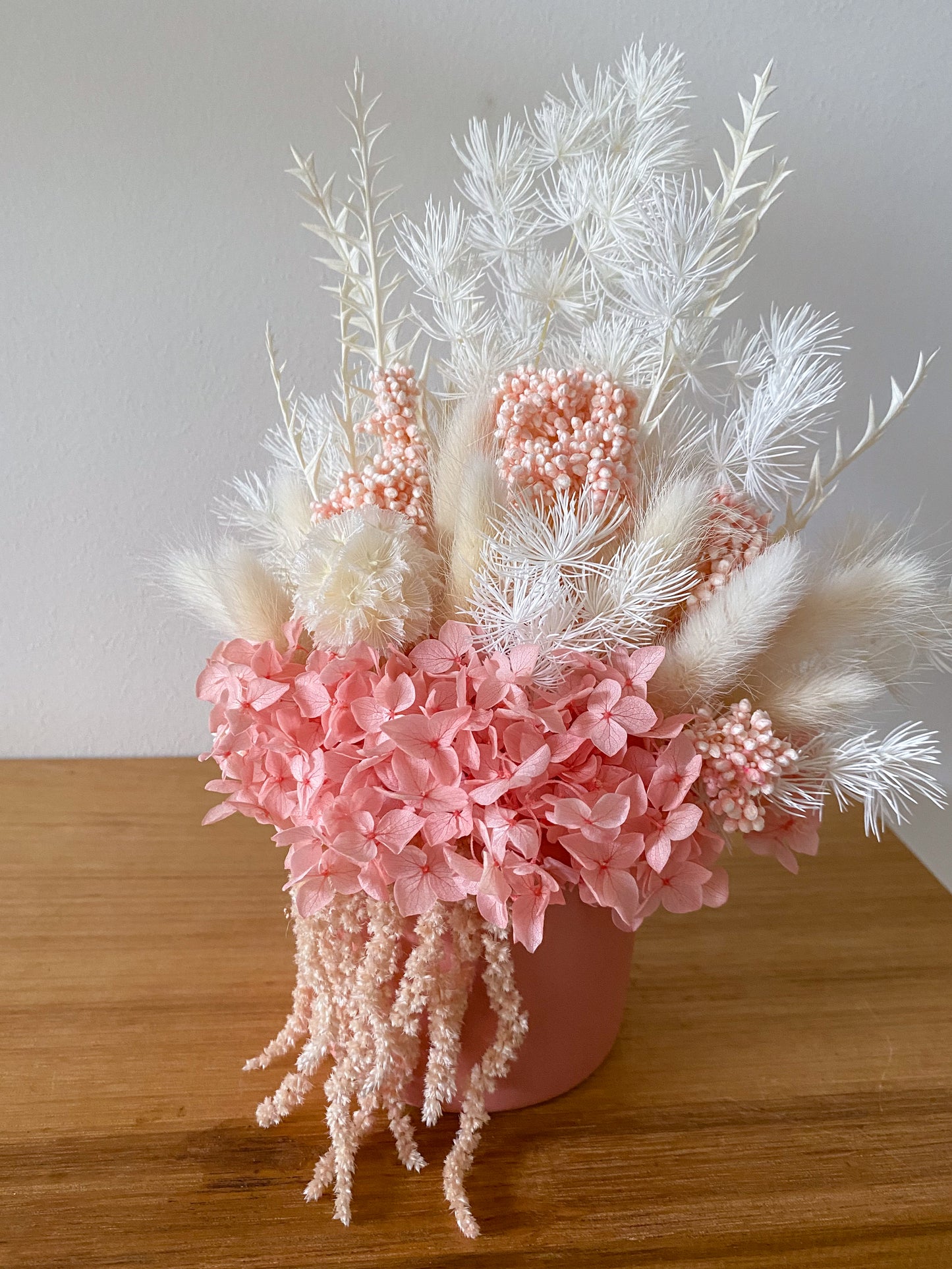 Pink everlasting pot - small