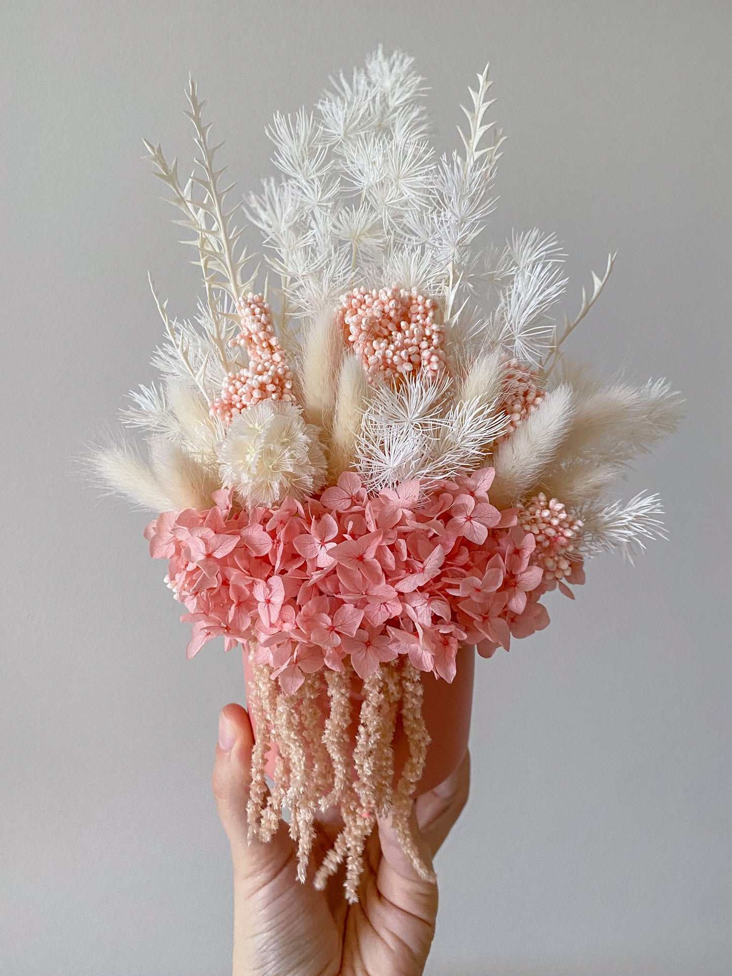 Pink everlasting pot - small