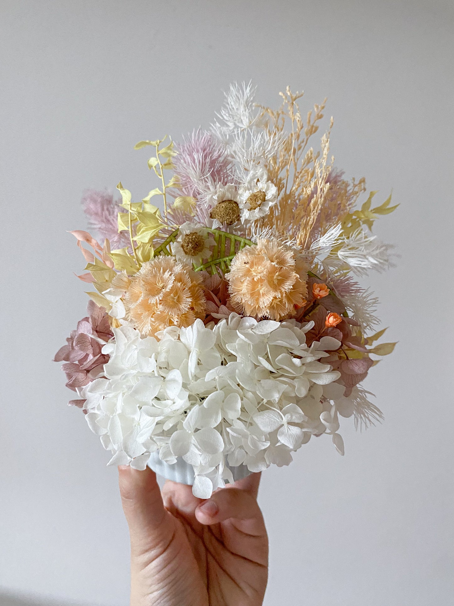 Pastel everlasting pot - small