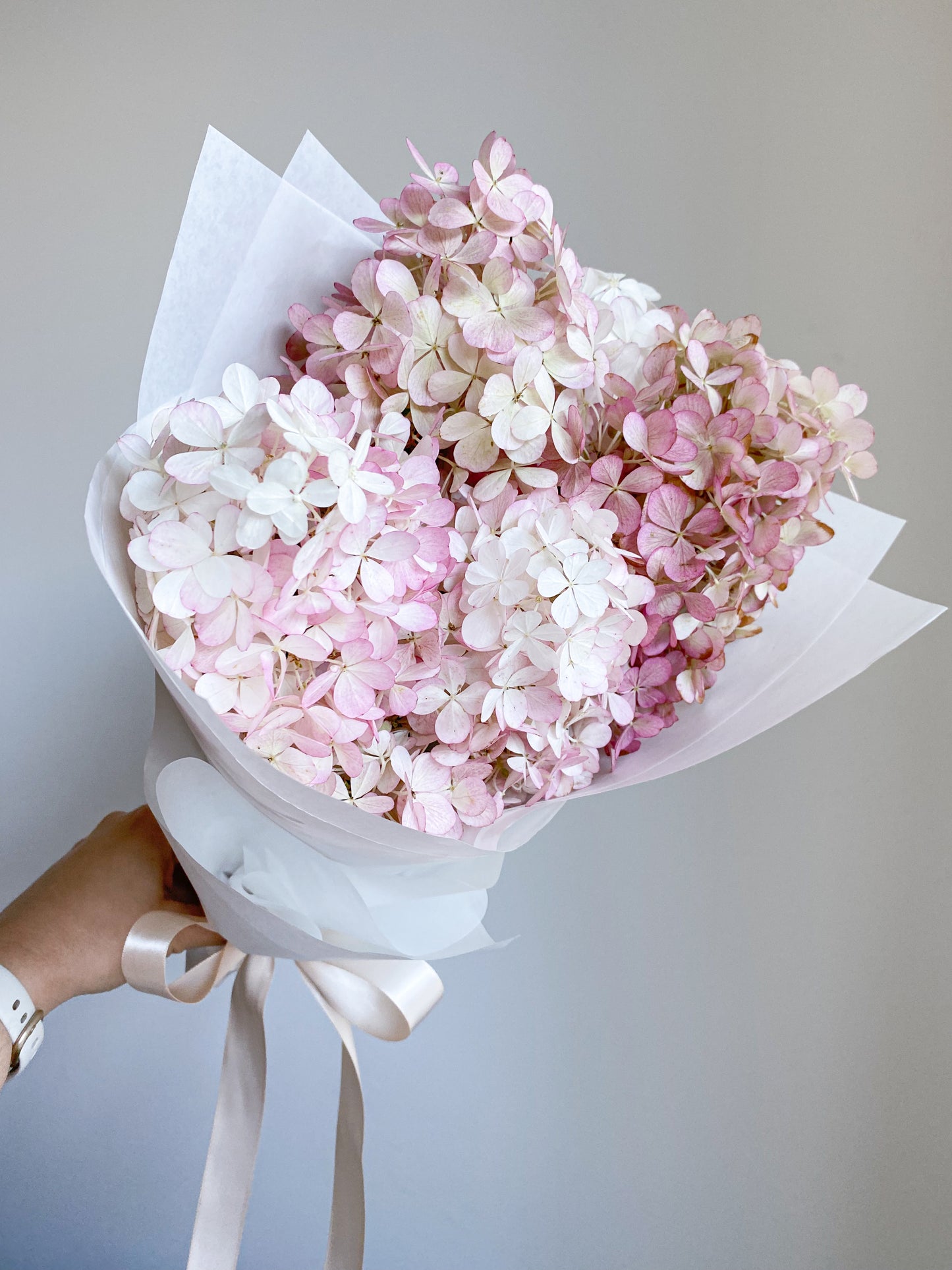 Send hydrangea - two sizes