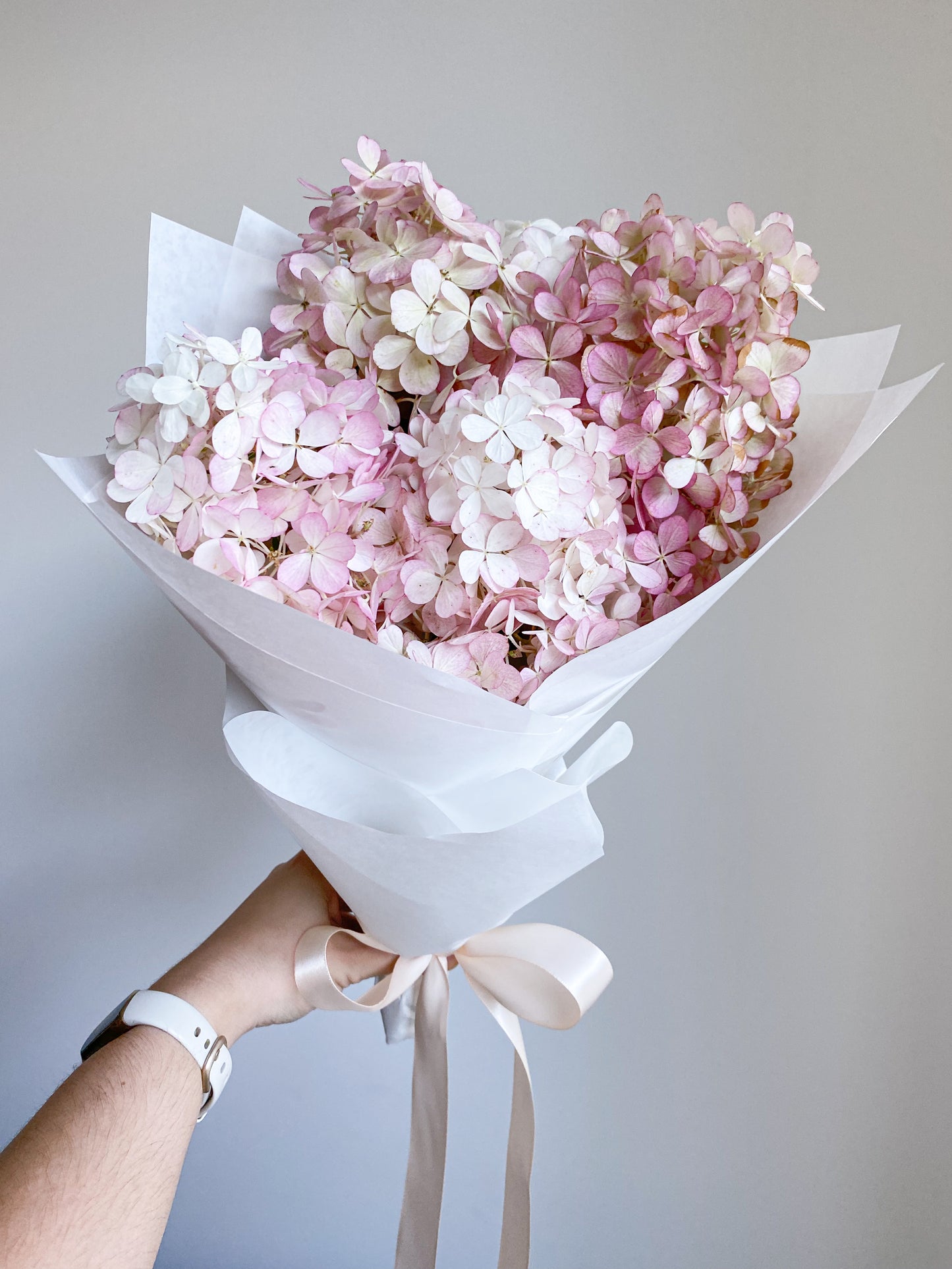Send hydrangea - two sizes