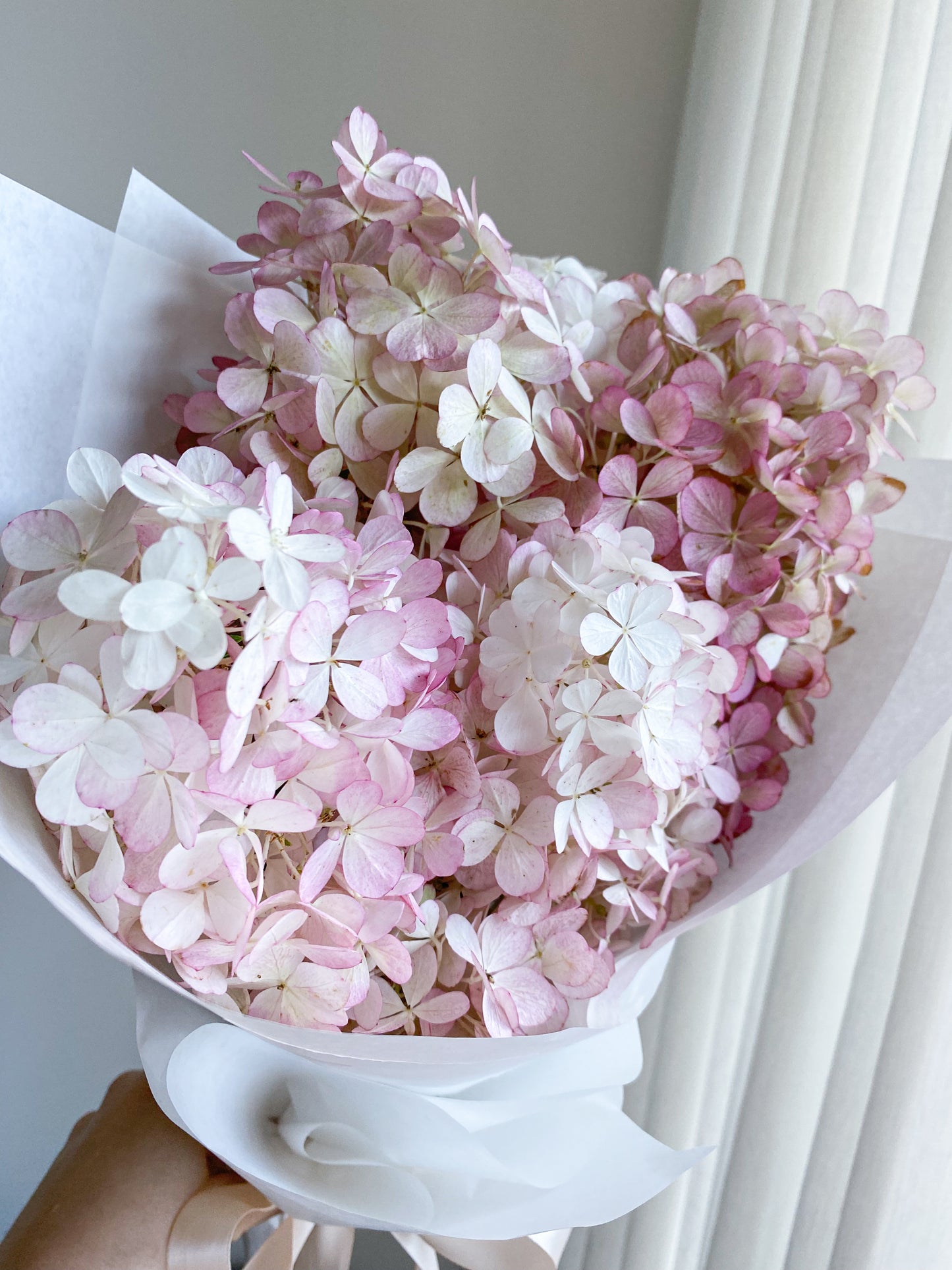 Send hydrangea - two sizes
