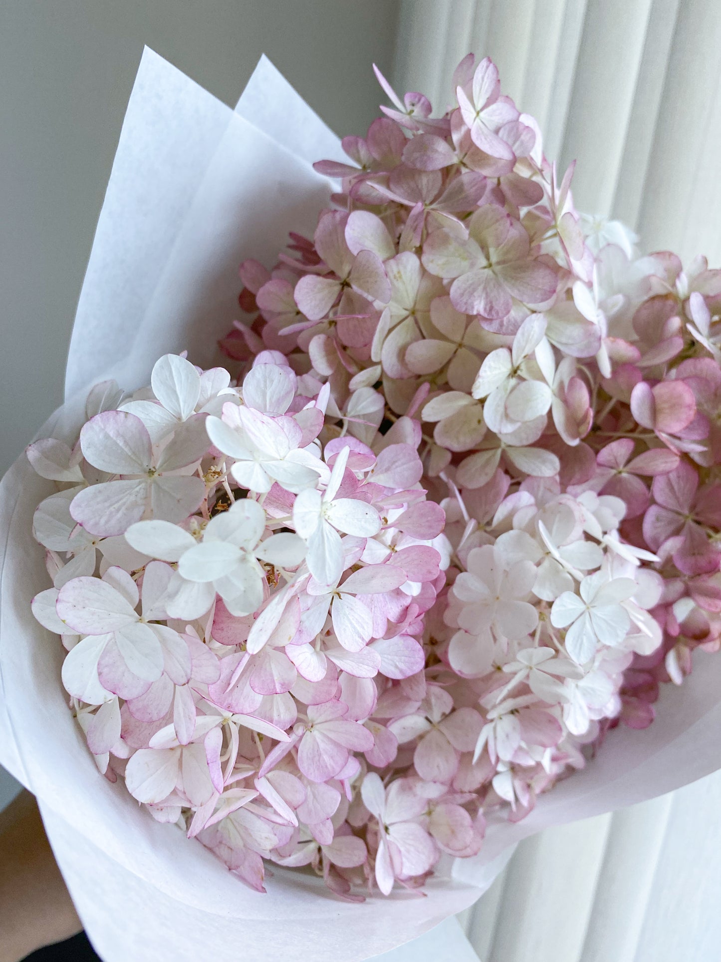 Send hydrangea - two sizes