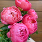 Send peonies - two sizes