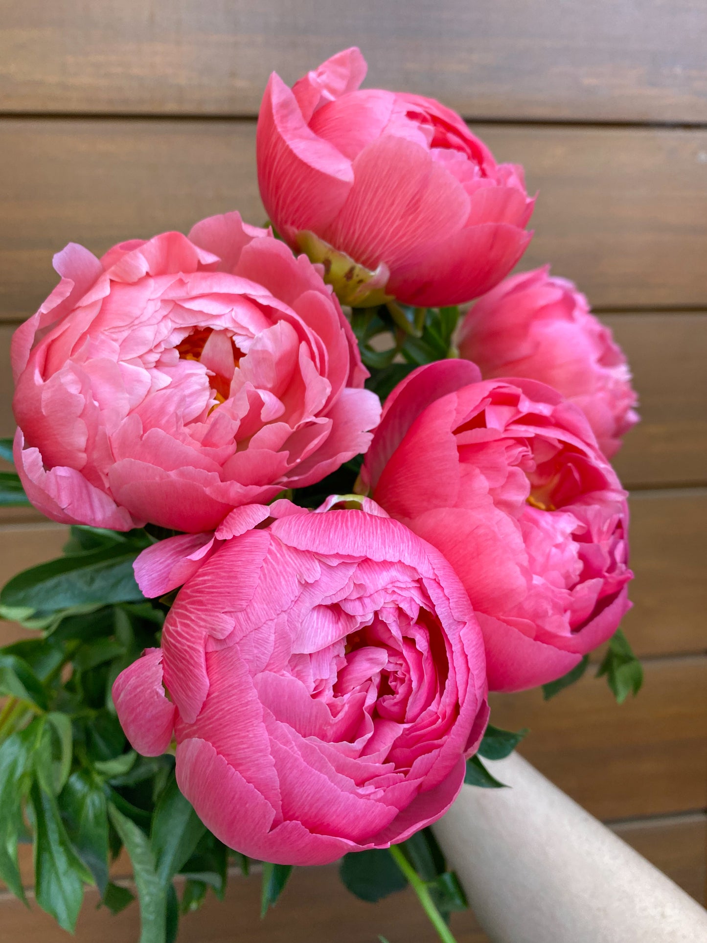 Send peonies - two sizes