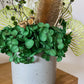 Green native everlasting pot - medium