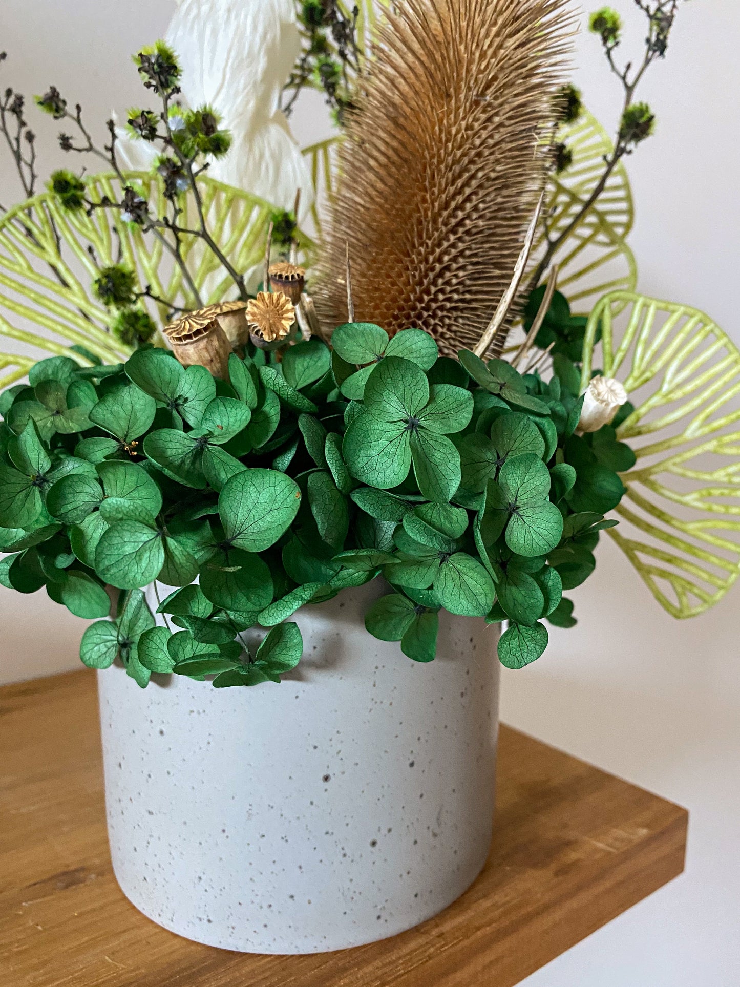Green native everlasting pot - medium