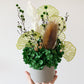 Green native everlasting pot - medium