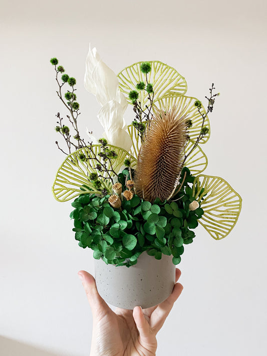 Green native everlasting pot - medium