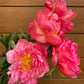 Send peonies - two sizes