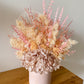 Pink everlasting pot - medium
