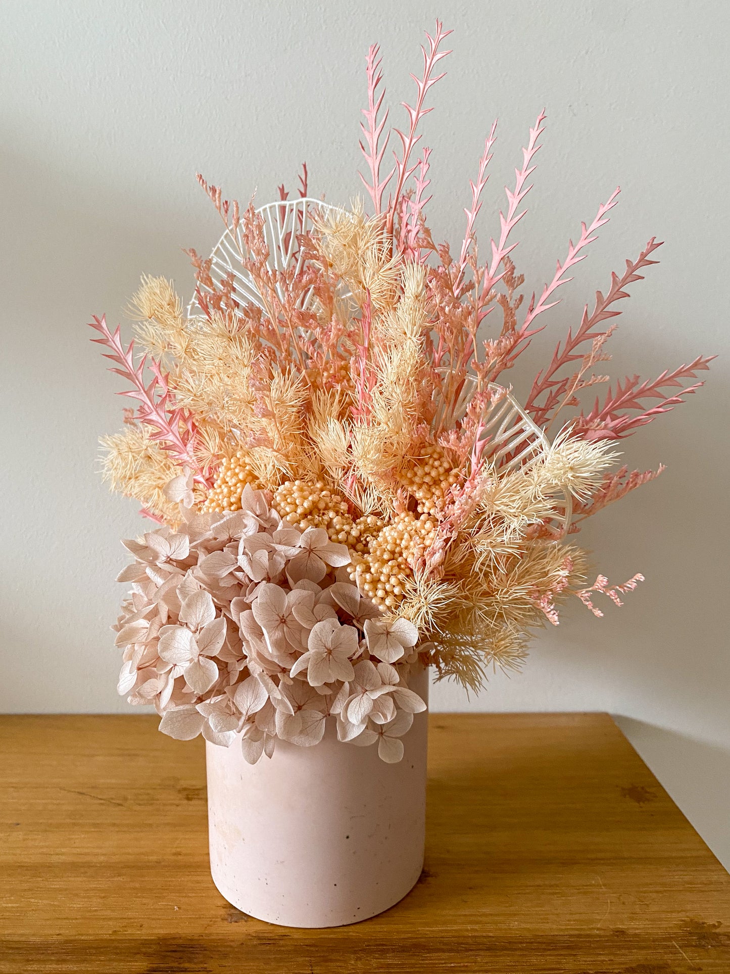 Pink everlasting pot - medium
