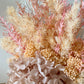 Pink everlasting pot - medium