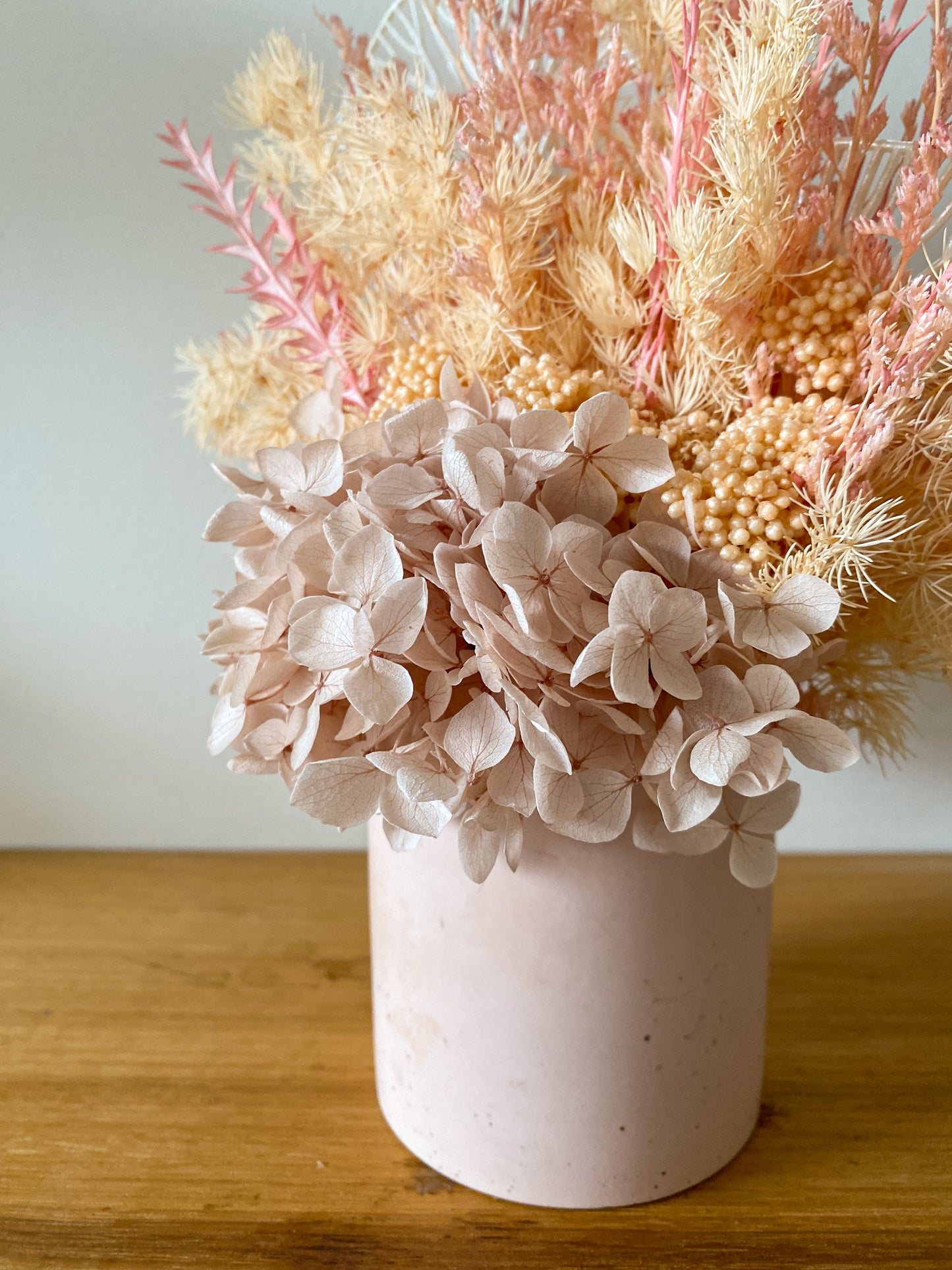 Pink everlasting pot - medium
