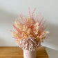 Pink everlasting pot - medium
