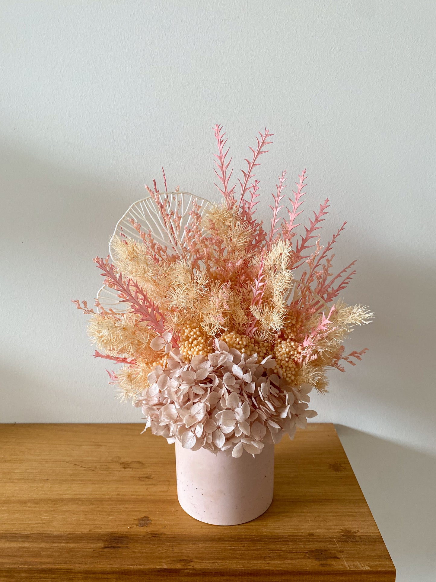 Pink everlasting pot - medium