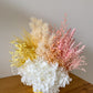 Warm pastel everlasting pot - medium