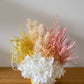 Warm pastel everlasting pot - medium