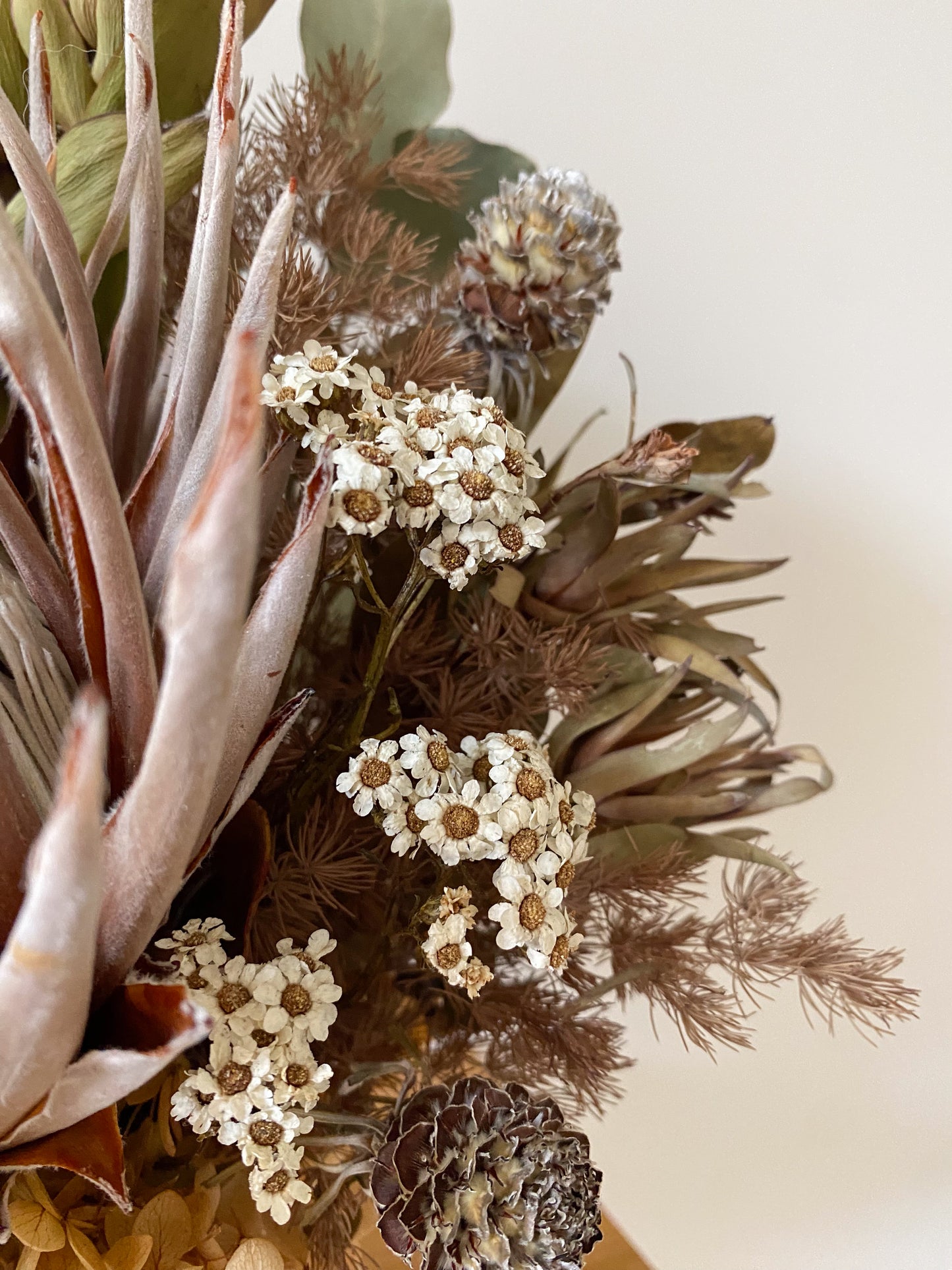 Large native potted arrangement