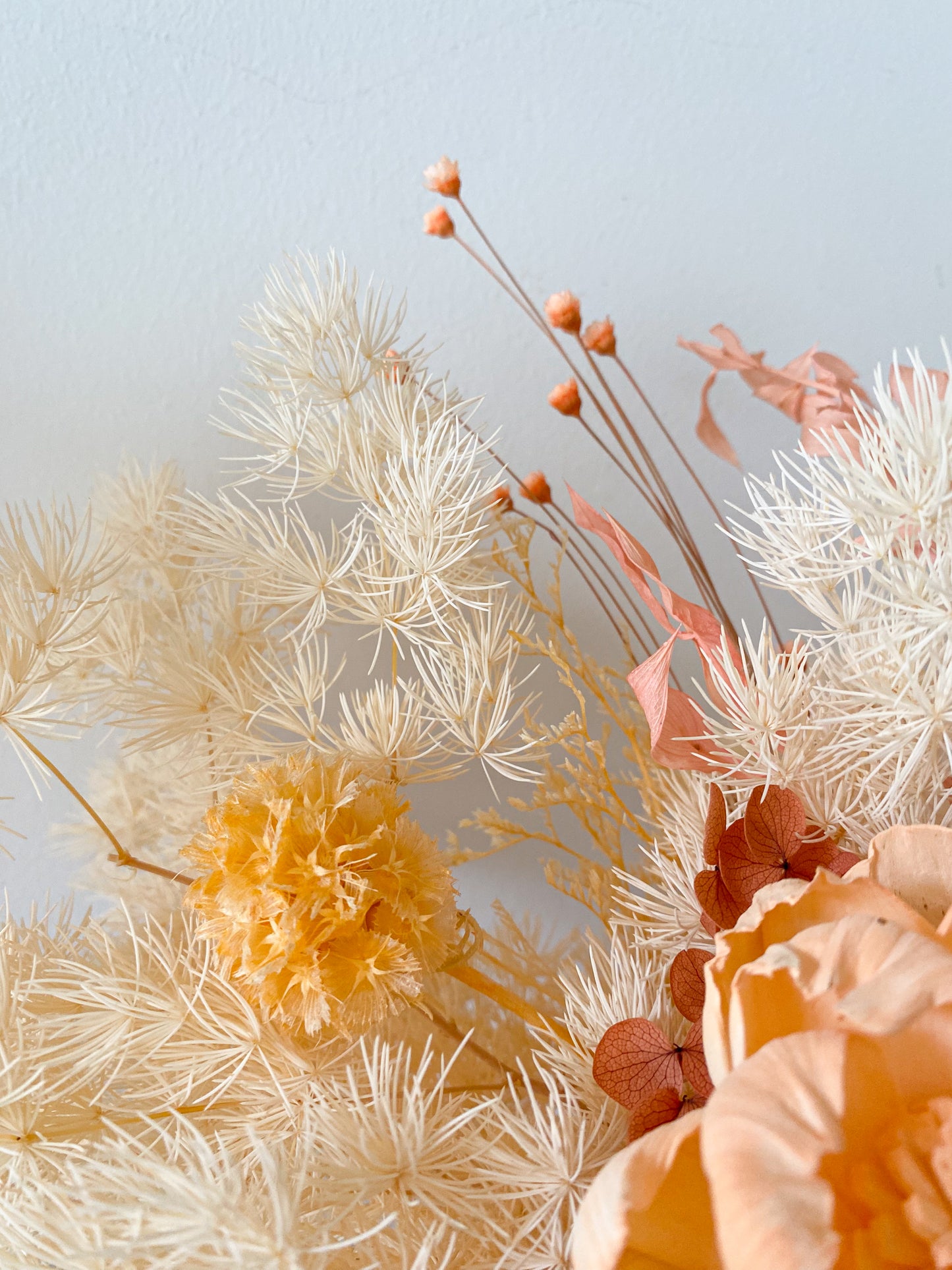 Pink everlasting pot - large