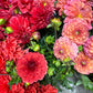 Bunch of dahlias - two sizes