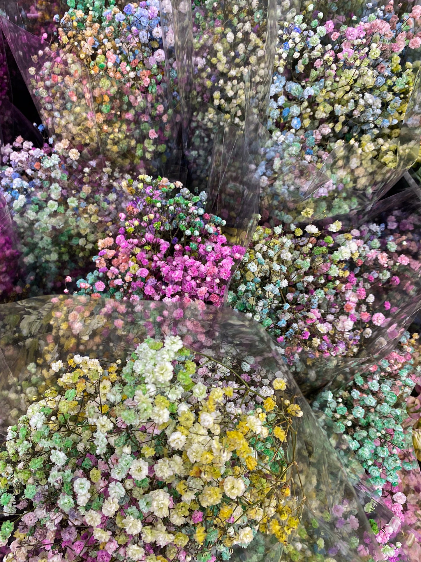 Bunch of babies breath / gyp