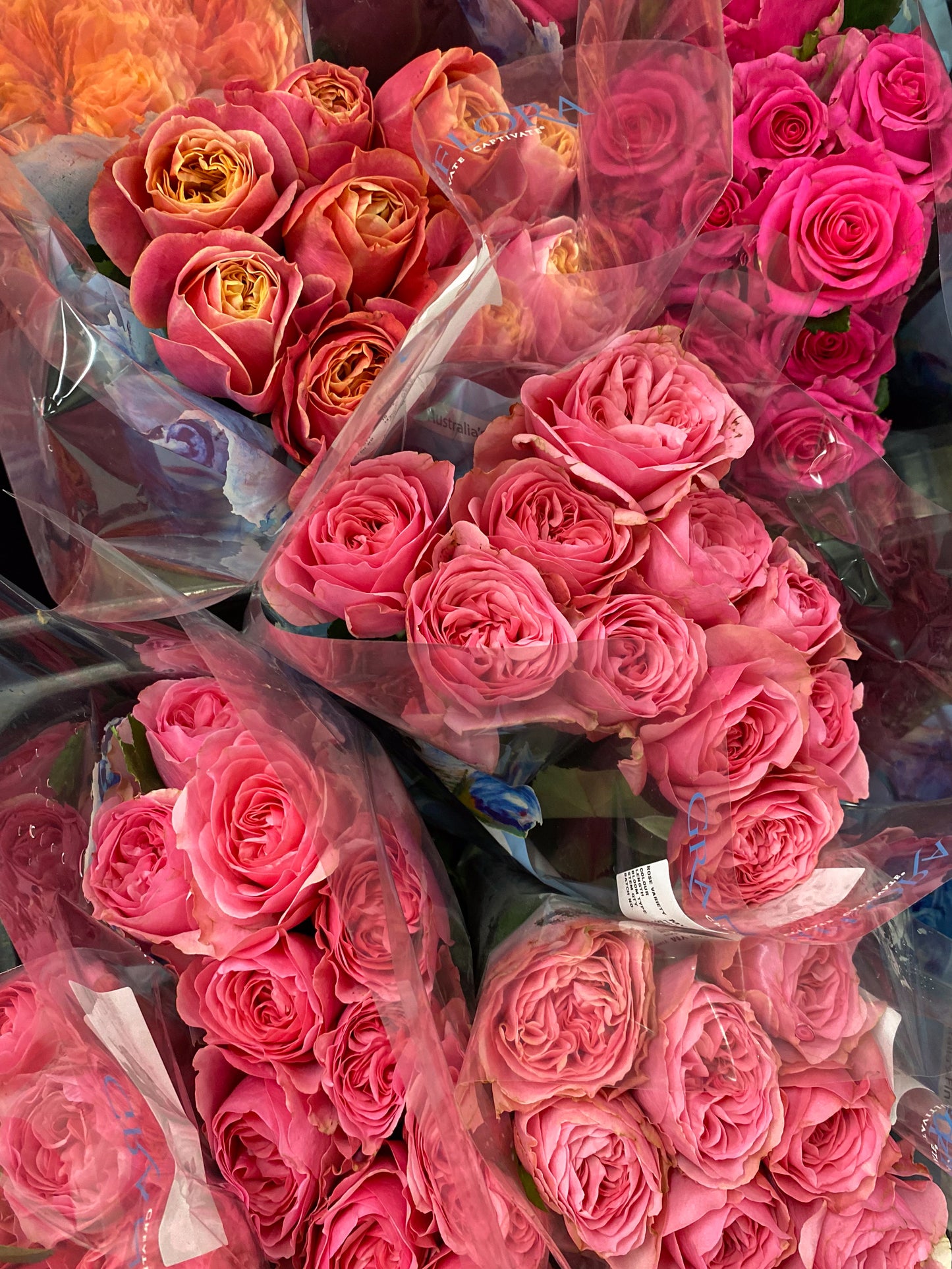 Bunch of roses - two sizes