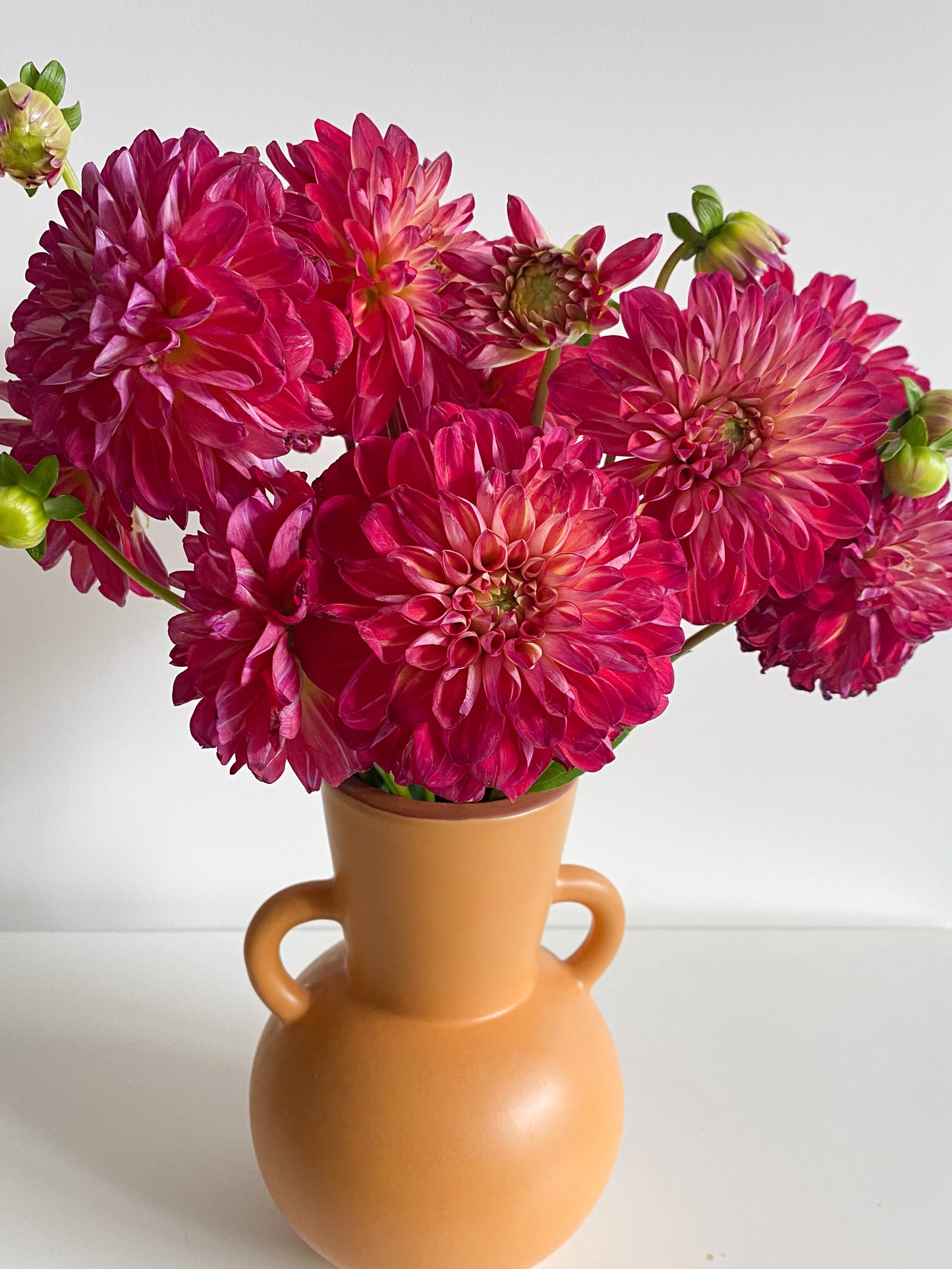 Bunch of dahlias - two sizes