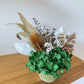 Dried green native pot - small