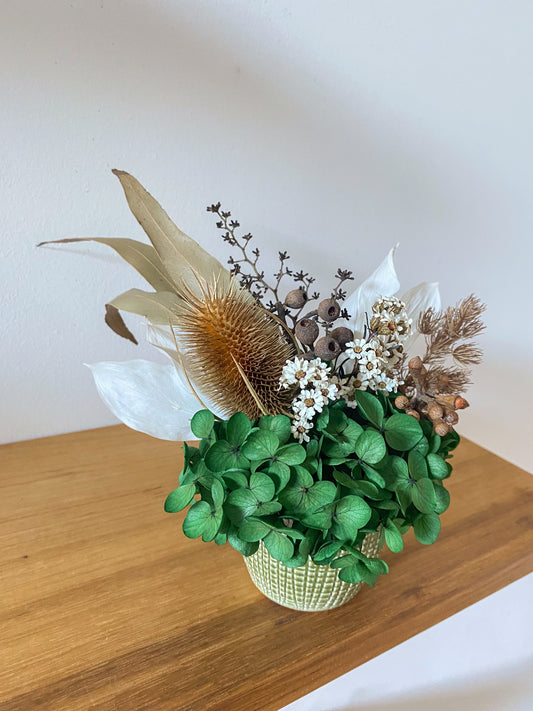 Dried green native pot - small