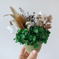 Dried green native pot - small