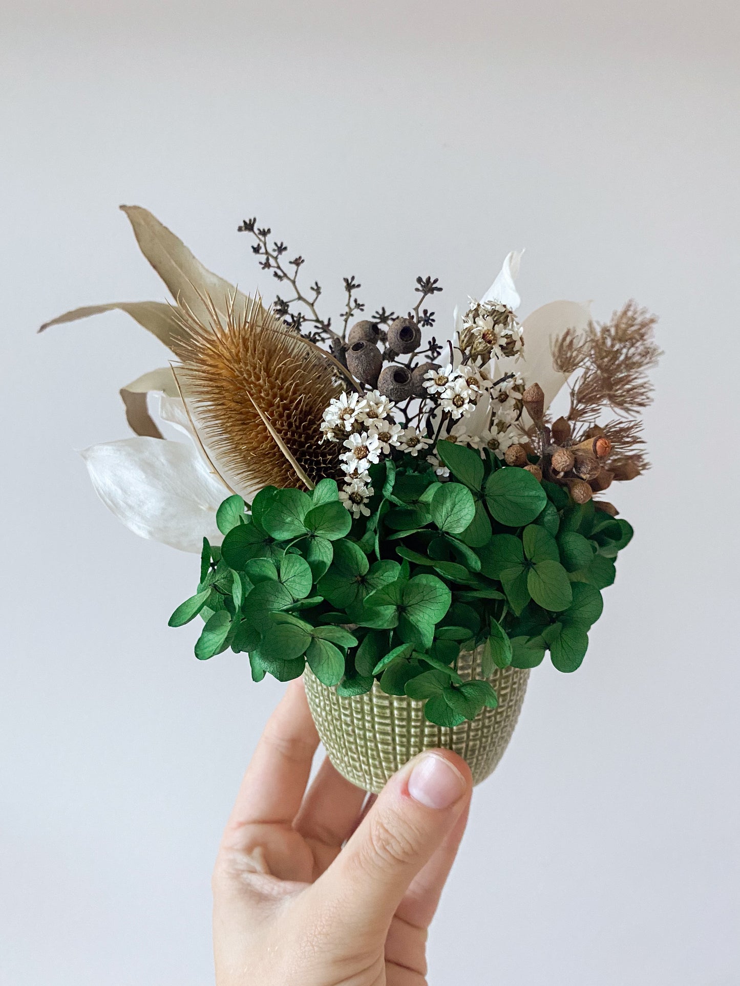 Dried green native pot - small