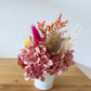 Warm rainbow everlasting pot - mini