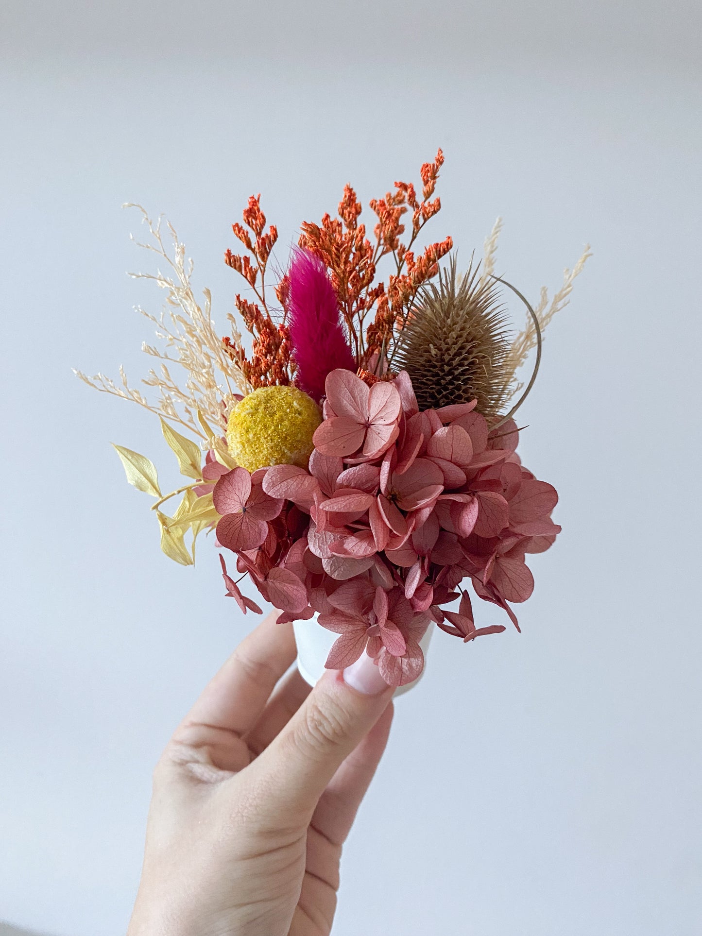 Warm rainbow everlasting pot - mini