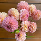 Bunch of dahlias - two sizes