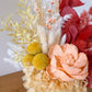 Warm rainbow everlasting pot - medium