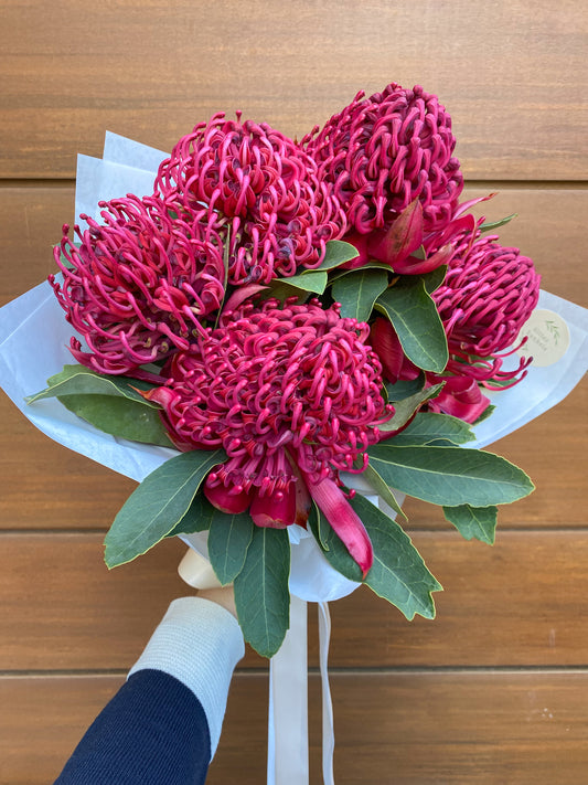 SEASONAL BLOOM - Bunch of waratahs