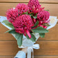 SEASONAL BLOOM - Bunch of waratahs
