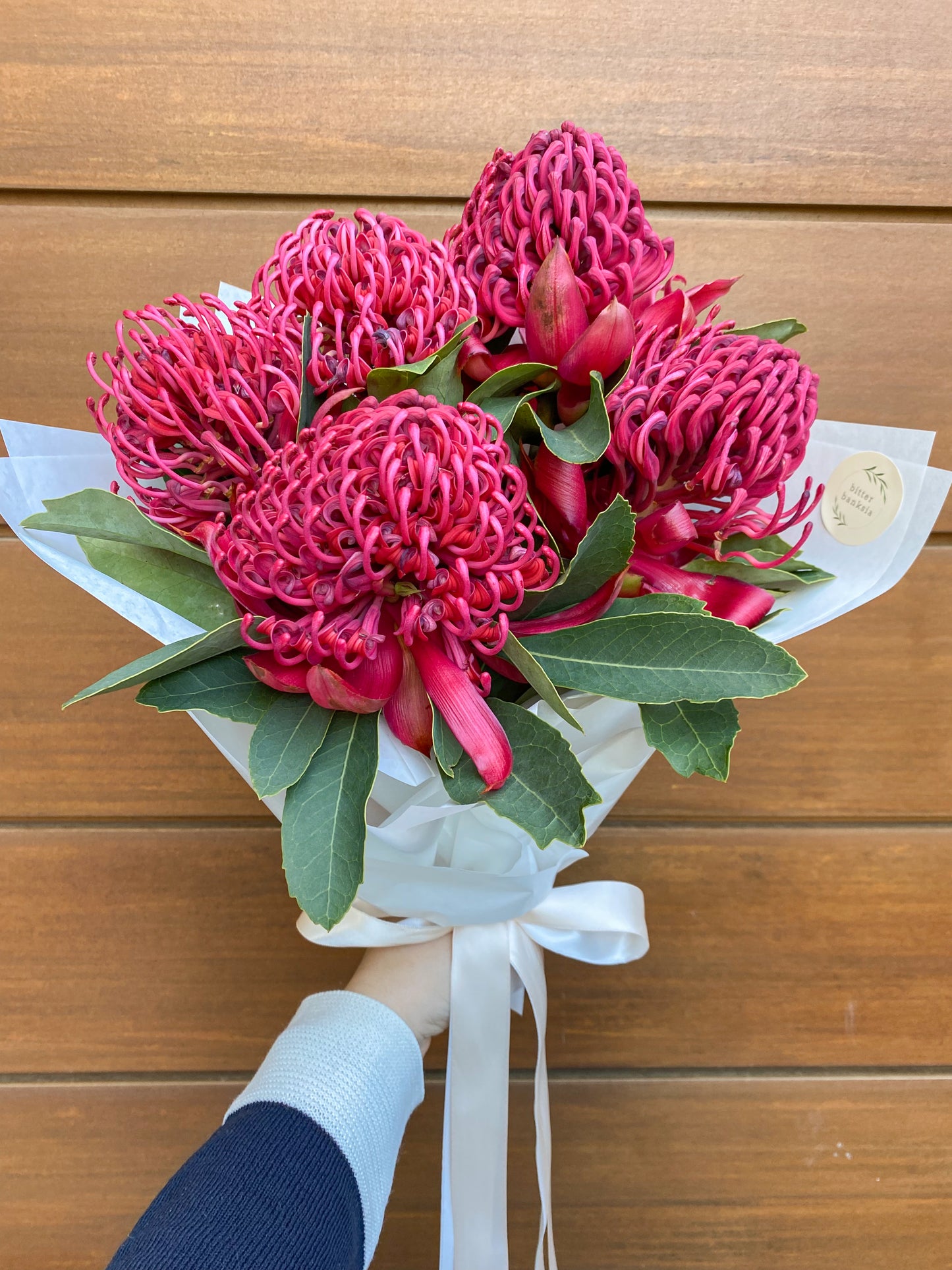 SEASONAL BLOOM - Bunch of waratahs