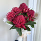 SEASONAL BLOOM - Bunch of waratahs