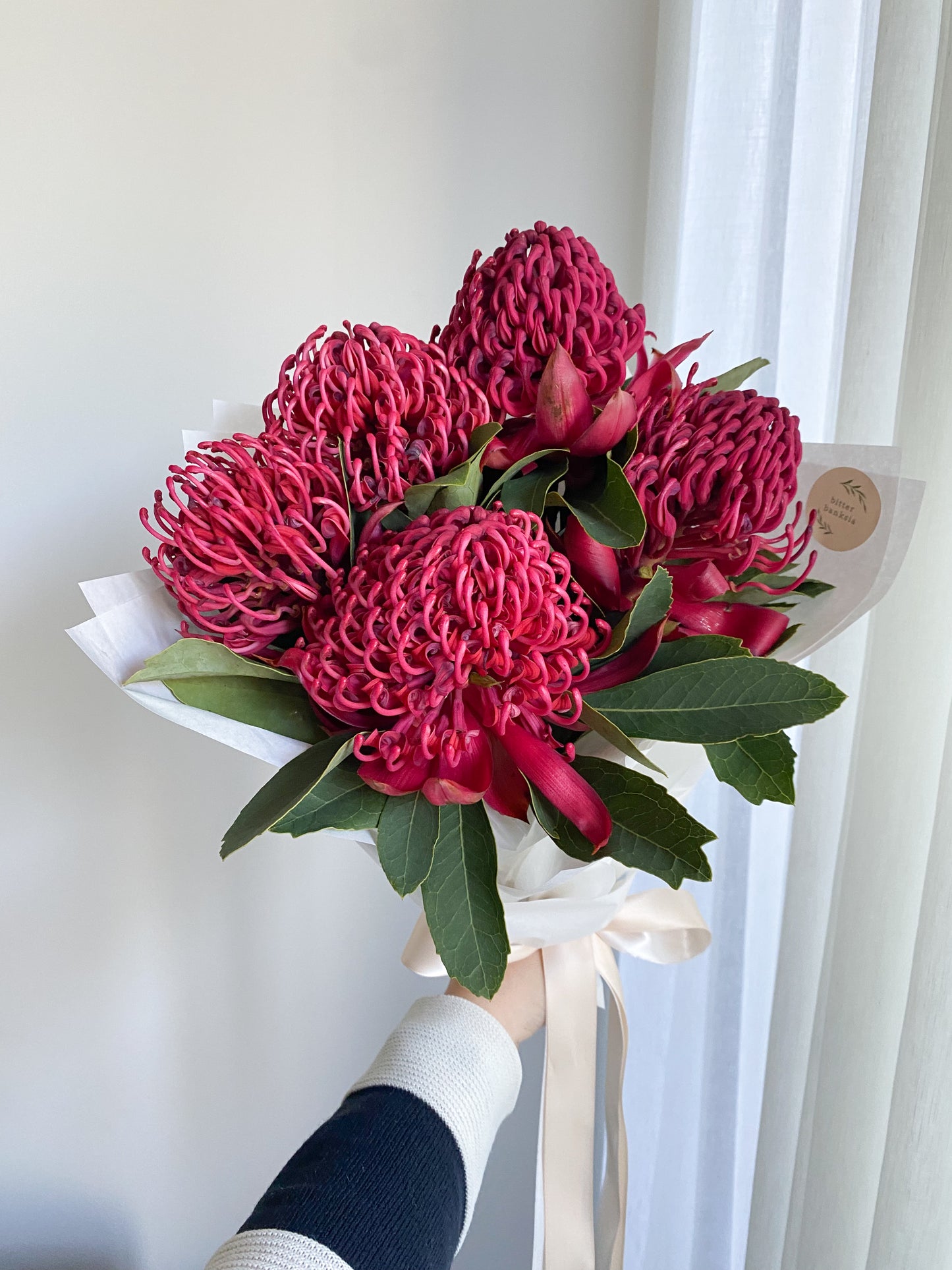 SEASONAL BLOOM - Bunch of waratahs