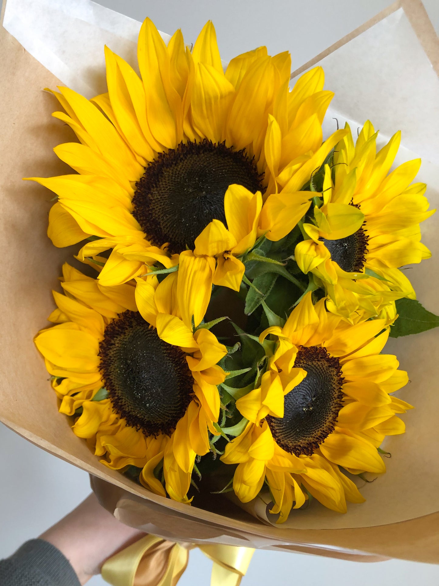 Send sunflowers - two sizes