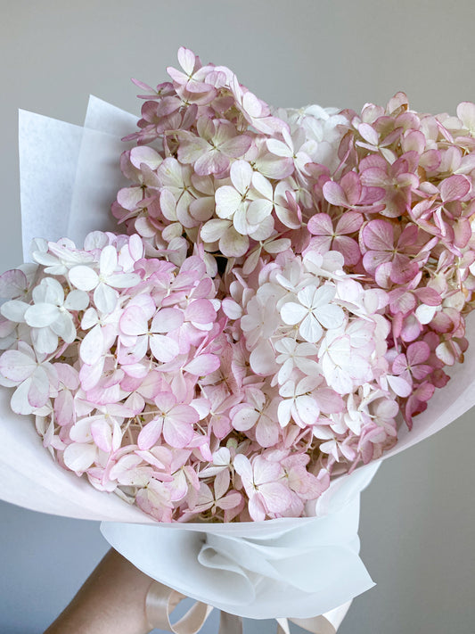 Send hydrangea - two sizes