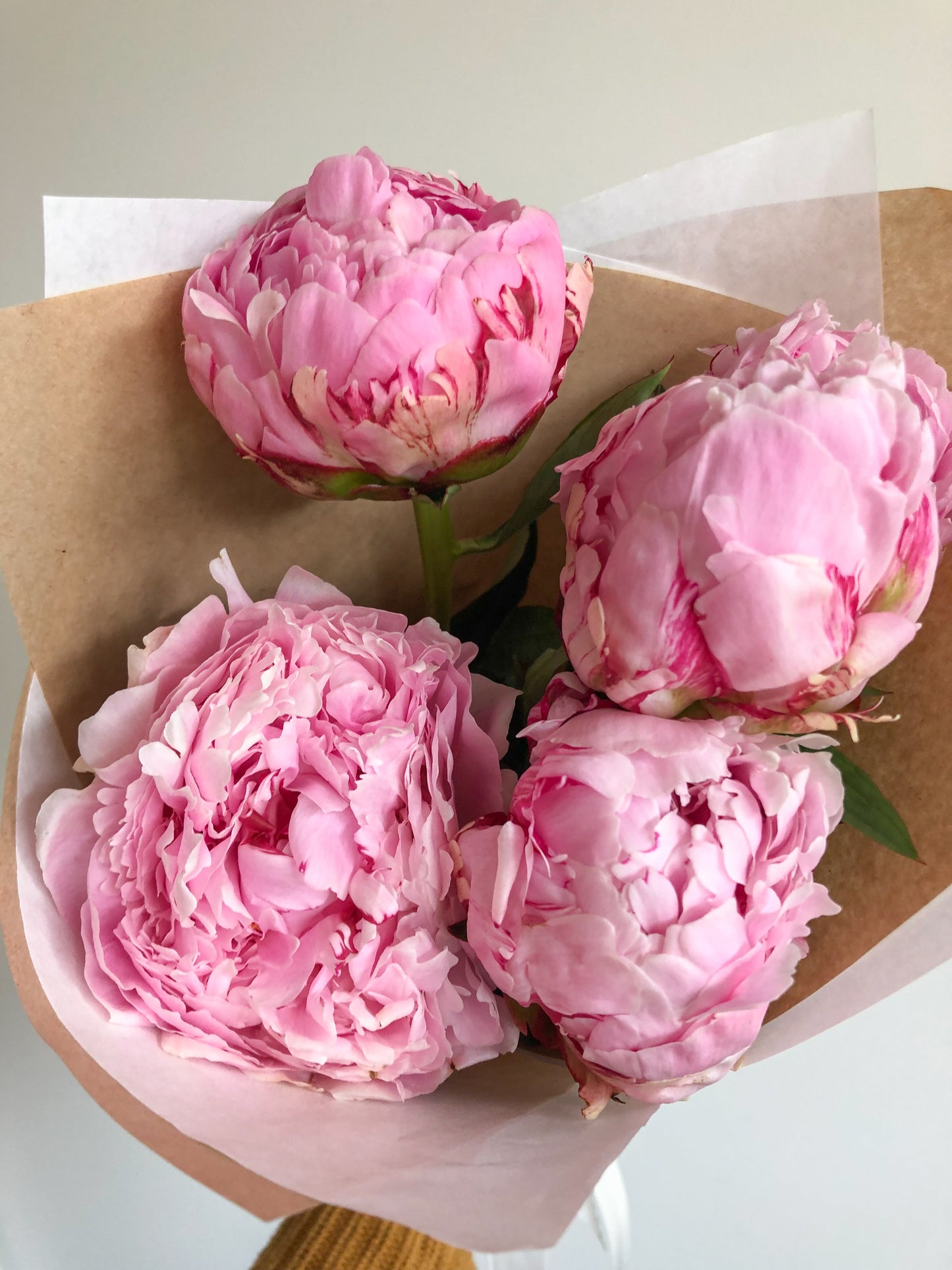 Send peonies - two sizes