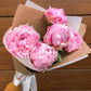 Send peonies - two sizes
