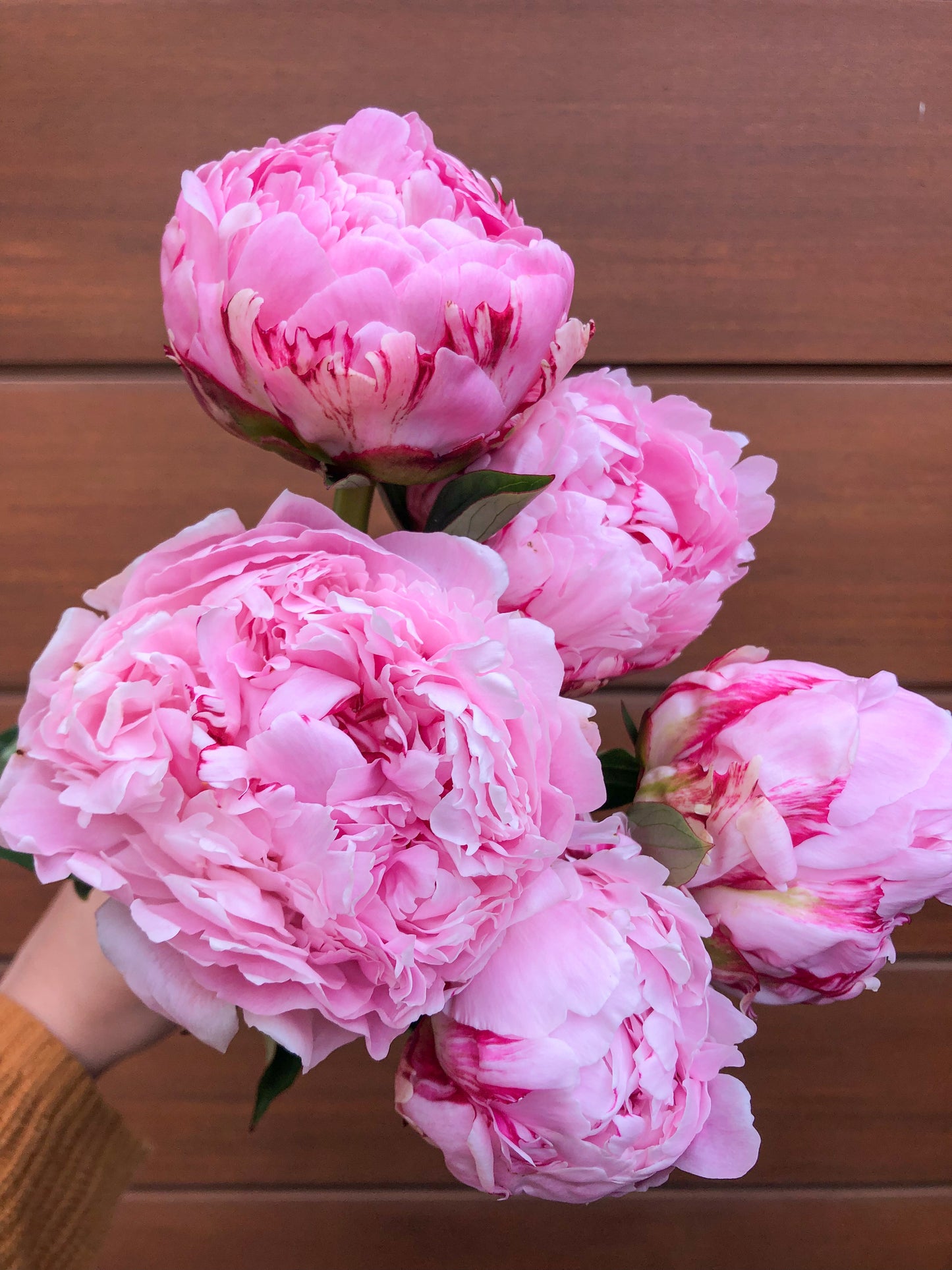 Send peonies - two sizes