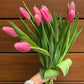 Send tulips - two sizes