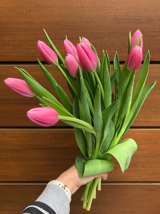 Bunch of tulips - two sizes